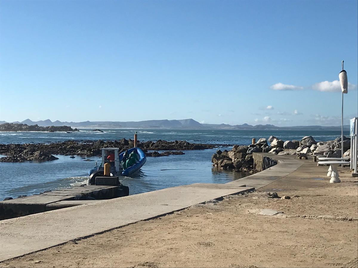 Fairview Accommodation Gansbaai Bagian luar foto